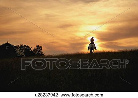 Horseback rider View Large Photo Image Stock Image - Horseback rider. Fotosearch
