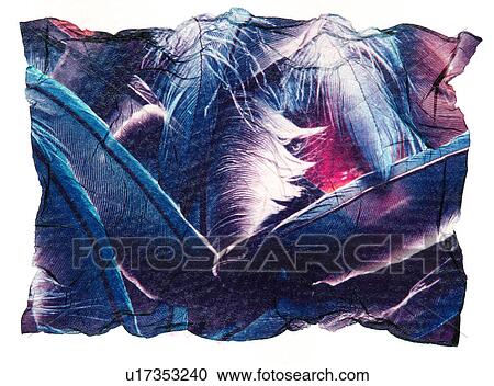 Impression of feathers View Large Photo Image Stock Image - Impression of feathers. Fotosearch