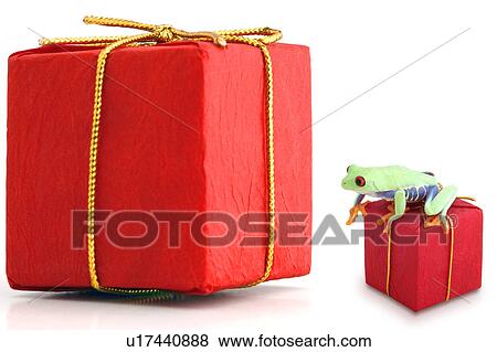 Stock Photo - Large and small red packages with frog. Fotosearch