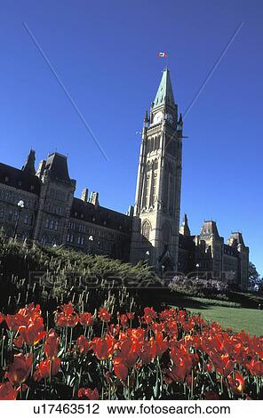 Stock Image - Large building and clock tower with formal gardens. Fotosearch