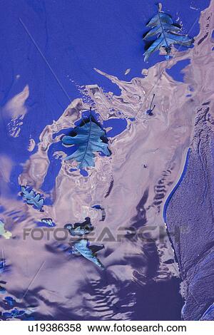 Stock Photo - Leafs in ice against a blue background. Fotosearch
