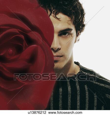 Stock Image - Male model hidden by red rose. Fotosearch