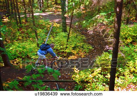 Man cycling down forest trail View Large Photo Image Stock Photo - Man cycling down forest trail. Fotosearch