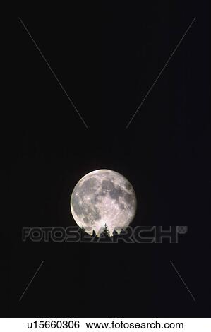 Moonrise over trees View Large Photo Image Stock Photograph - Moonrise over trees. Fotosearch