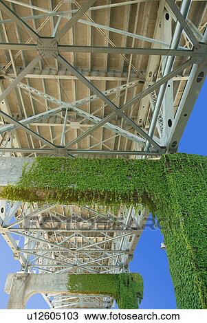 Moss growing underneath a bridge View Large Photo Image Stock Image - Moss growing underneath a bridge. Fotosearch