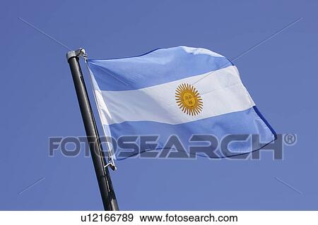 National flag of Argentina View Large Photo Image Stock Photo - National flag of Argentina. Fotosearch