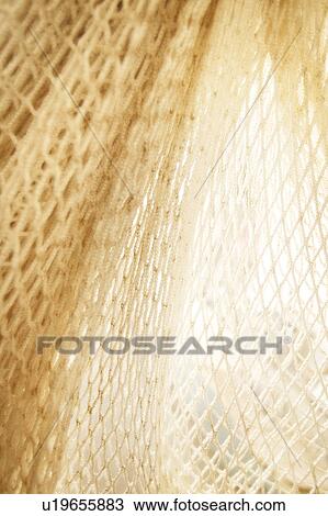 Netting View Large Photo Image Stock Image - Netting. Fotosearch