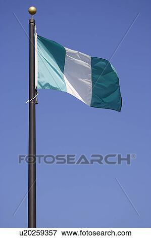 Nigerian national flag View Large Photo Image Stock Photo - Nigerian national flag. Fotosearch