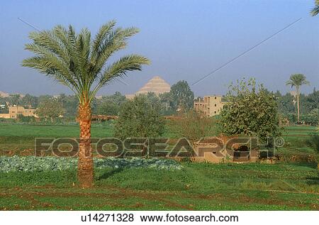 Nile River Valley and Step Pyramid of Djoser View Large Photo Image Stock Photo - Nile River Valley and Step Pyramid of Djoser. Fotosearch