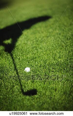 On the fairway View Large Photo Image Stock Image - On the fairway. Fotosearch