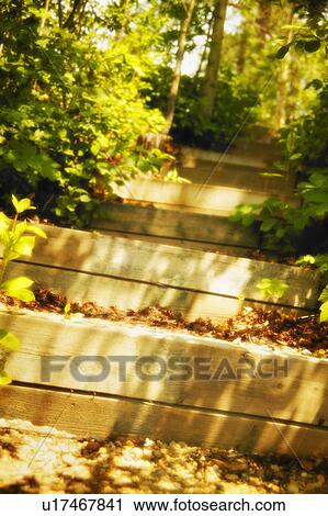 Outdoor stairway View Large Photo Image Stock Image - Outdoor stairway. Fotosearch
