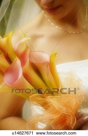 Portrait of a bride View Large Photo Image Stock Image - Portrait of a bride. Fotosearch