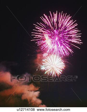 Purple fireworks in the sky View Large Photo Image Stock Photo - Purple fireworks in the sky. Fotosearch