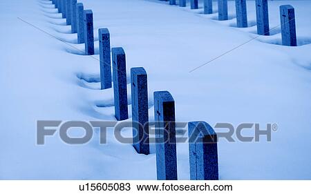 Rows of war graves View Large Photo Image Stock Image - Rows of war graves. Fotosearch