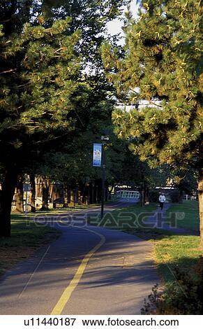 Stock Photo - Runner in the park. Fotosearch