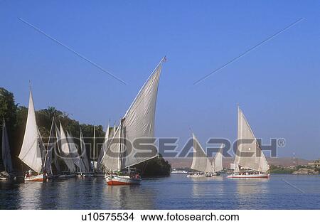 Picture - Sailboats on water. Fotosearch