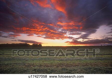 Scenic sunrise/set over field View Large Photo Image Stock Photo - Scenic sunrise/set over field. Fotosearch