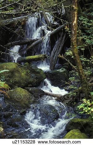 Stock Photo - Scenic waterfall. Fotosearch