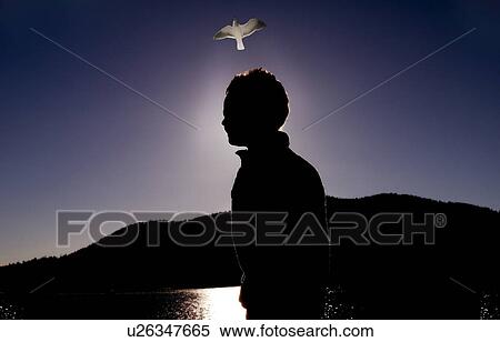 Seagull following above person View Large Photo Image Stock Photography - Seagull following above person. Fotosearch