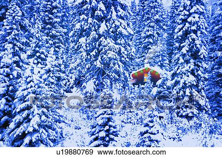 Small lit cabin in the middle of a winter forest View Large Photo Image Stock Photo - Small lit cabin in the middle of a winter forest. Fotosearch