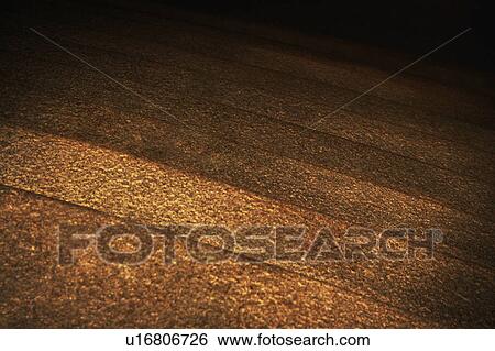 Speckled steps View Large Photo Image Stock Photograph - Speckled steps. Fotosearch