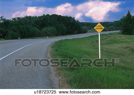 Stock Photography - Stock crossing sign on small road. Fotosearch