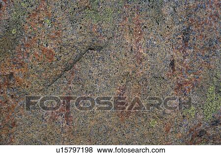 Stone with spots of lichen on it View Large Photo Image Stock Photo - Stone with spots of lichen on it. Fotosearch