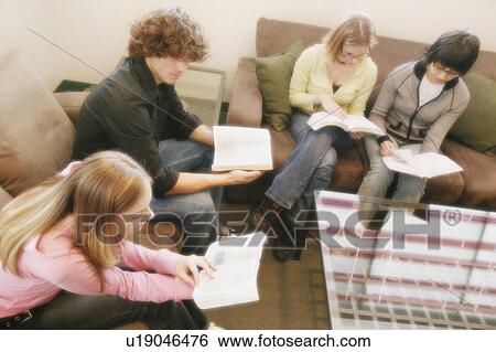 Study group View Large Photo Image Stock Photograph - Study group. Fotosearch