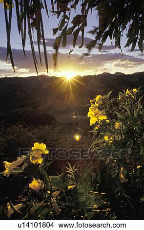 Sunrise View Large Photo Image Picture - Sunrise. Fotosearch