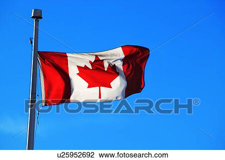 The Canadian Flag View Large Photo Image Stock Image - The Canadian Flag. Fotosearch