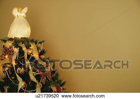 The top of a Christmas tree View Large Photo Image Stock Image - The top of a Christmas tree. Fotosearch