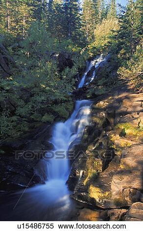 Time delay of narrow waterfall in forest View Large Photo Image Stock Photography - Time delay of narrow waterfall in forest. Fotosearch