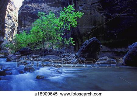 Stock Photography - Time delay of small mountain river with tree and cliff in background. Fotosearch