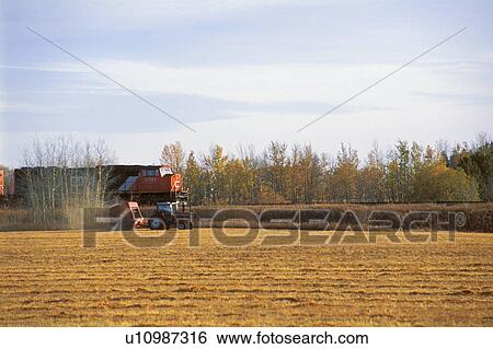 Tractor beside a train View Large Photo Image Stock Photograph - Tractor beside a train. Fotosearch