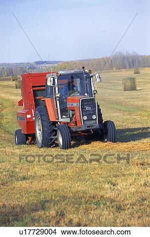 Picture - Tractor makes bales of hay. Fotosearch