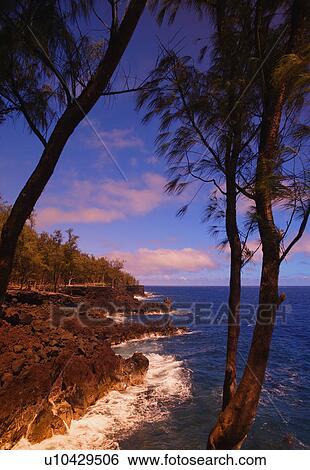 Stock Photograph - Tropical coastline. Fotosearch