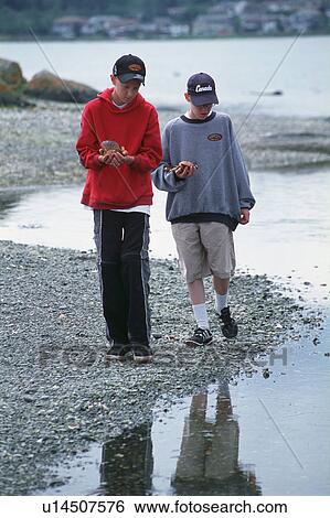 Two boys collecting shells at beach View Large Photo Image Stock Photograph - Two boys collecting shells at beach. Fotosearch