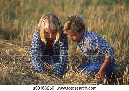 Two children looking in the hay View Large Photo Image Stock Image - Two children looking in the hay. Fotosearch