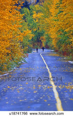 Two people jogging on road in park in autumn View Large Photo Image Stock Photograph - Two people jogging on road in park in autumn. Fotosearch