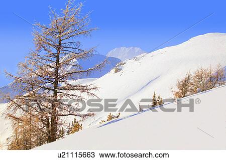 Stock Image - View of a mountain. Fotosearch