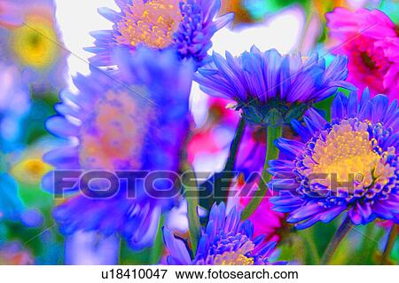 Vivid flowers View Large Photo Image Stock Photo - Vivid flowers. Fotosearch