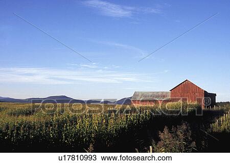 Wide open spaces of farmland View Large Photo Image Stock Image - Wide open spaces of farmland. Fotosearch