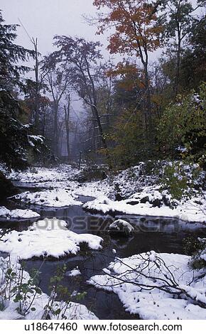 Winter wonderland View Large Photo Image Stock Image - Winter wonderland. Fotosearch