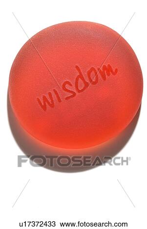 wisdom View Large Photo Image Stock Image - wisdom. Fotosearch