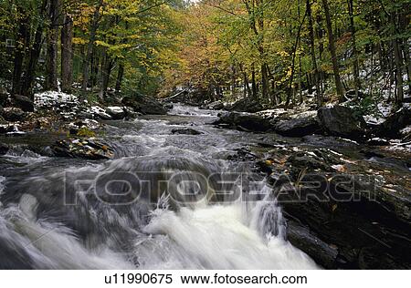 Woodland river View Large Photo Image Stock Photography - Woodland river. Fotosearch