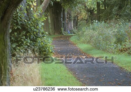 Woodland walk View Large Photo Image Stock Photograph - Woodland walk. Fotosearch