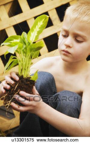 Young boy holding plant View Large Photo Image Stock Photography - Young boy holding plant. Fotosearch