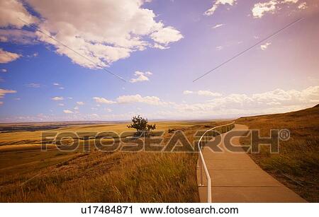 Stock Image - A pathway in a rural area. Fotosearch
