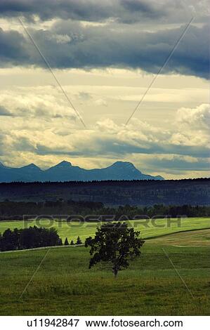 A prairie landscape View Large Photo Image Stock Photo - A prairie landscape. Fotosearch