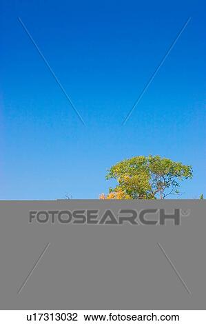 Stock Image - A red barn. Fotosearch